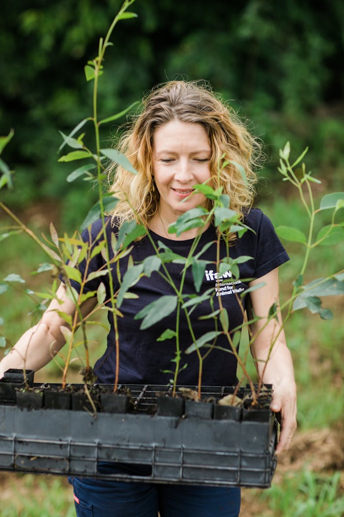A woman engaged in tree planting in Australia for environmental conservation.