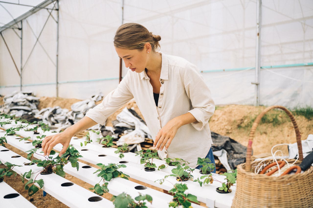 Female gardener tending plants in an indoor hydroponic greenhouse, showcasing modern farming techniques.